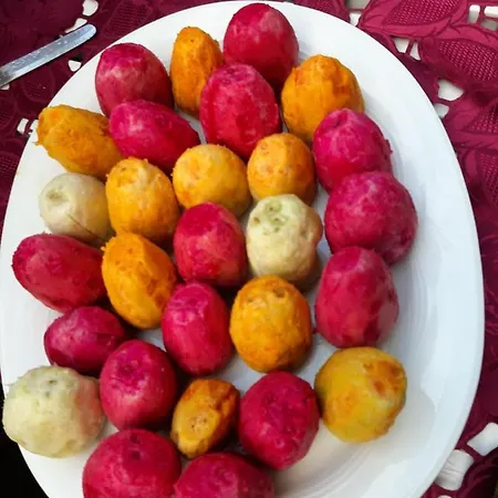 La Palma San Francesco