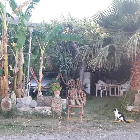 La Palma San Francesco